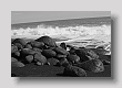 la plage de Reynisfjara 7
